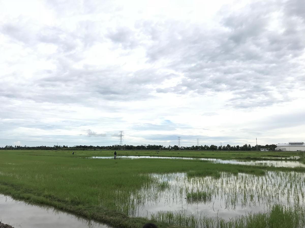 Hani Homestay Arau